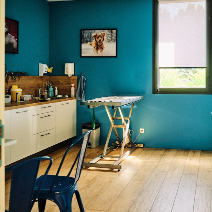 gallery-image-2