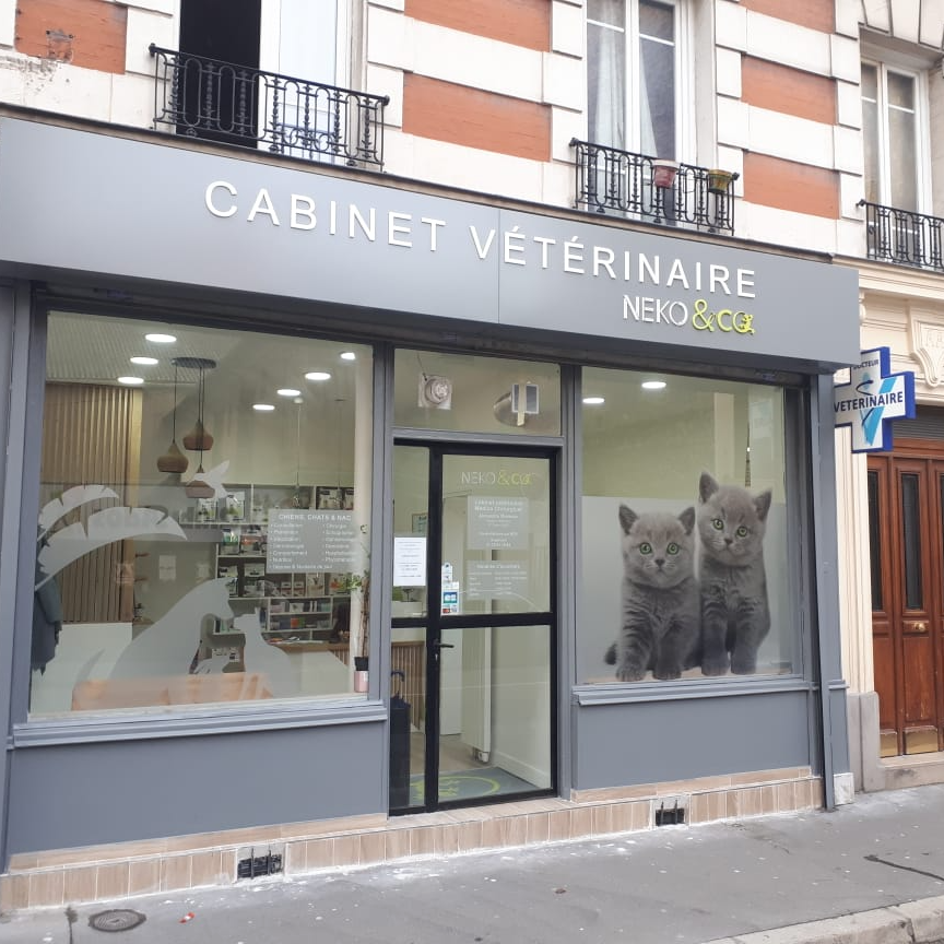 Neko&Co - Vétérinaire Clichy et Ouest de Paris Neko&Co - Vétérinaire Clichy et Ouest de Paris