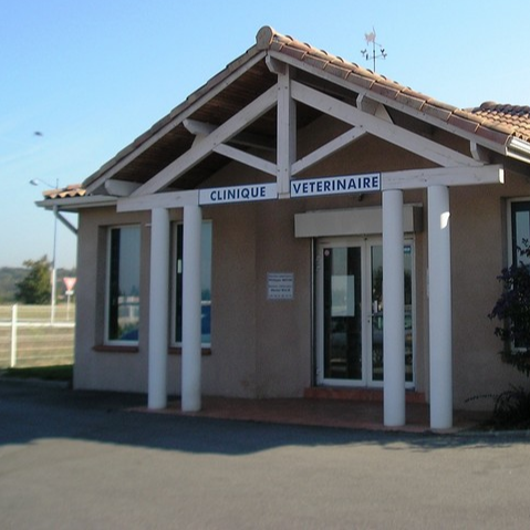 gallery-image-1
