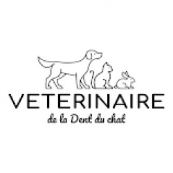 Clinique vétérinaire de la dent du chat