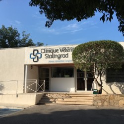 Clinique Vétérinaire Stalingrad