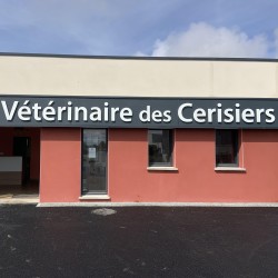 Cabinet vétérinaire des Cerisiers Cabinet vétérinaire des Cerisiers