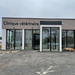 Vet in the Moun - Cabinet vétérinaire Coeur de ville Vet in the Moun - Cabinet vétérinaire Coeur de ville