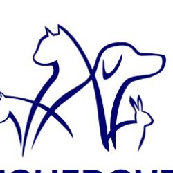 Clinique Vétérinaire les Rodettes