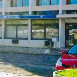 Cabinet Vétérinaire Saint Martin