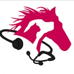 Clinique Vétérinaire Du Capitoul