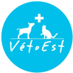 Clinique Vétérinaire de l'Ill