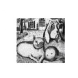 Cabinet Vétérinaire du Vieux Schiltigheim