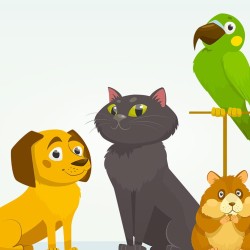 Clinique Vétérinaire des Granges Moulues