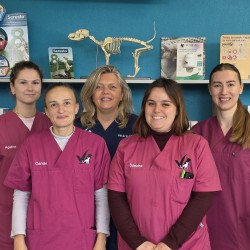 Clinique Vétérinaire des Granges Moulues