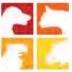 Clinique Vétérinaire Roosevelt