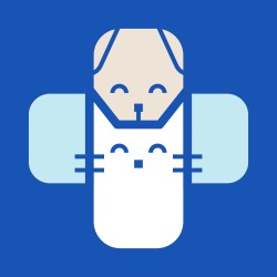 Clinique Vétérinaire Borgo Veto