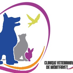 Clinique Vétérinaire De Montfavet