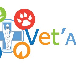 Vet'Attitude