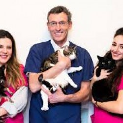 Clinique Vétérinaire Antibes les Pins