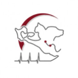 Clinique Vétérinaire Ile de Ré