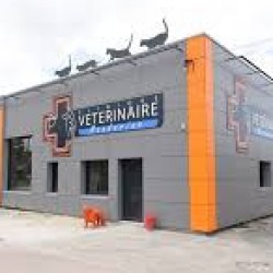 Clinique Vétérinaire Mandarine
