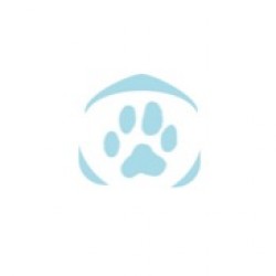 Clinique Vétérinaire de Sin le Noble