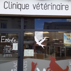 Clinique Vétérinaire de Bagneux