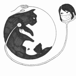 Cabinet Vétérinaire Médico-chirurgical Helvie