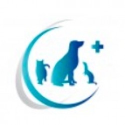 Clinique Vétérinaire du Grand Verger