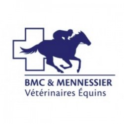BMC & MENNESSIER Vétérinaires Equins