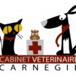 Cabinet Vétérinaire Carnegie