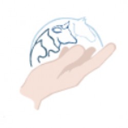 Cabinet Vétérinaire du Dr TAOUFIK