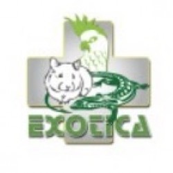 Cabinet Vétérinaire EXOTICA