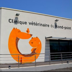 Clinique Vétérinaire VetOne du Rond-Point