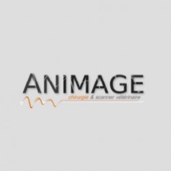Clinique Vétérinaire Animage