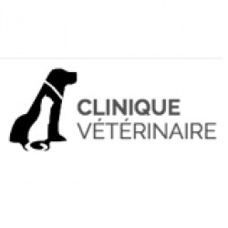 Clinique Vétérinaire Châteauneuf-sur-Charente