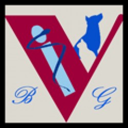 Clinique Vétérinaire de Brest