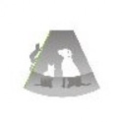 Clinique Vétérinaire de la Clef Saint Pierre