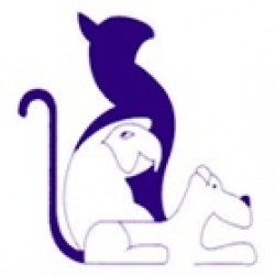 Clinique Vétérinaire de la Tille