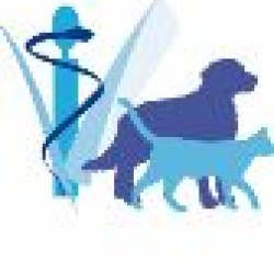 Clinique Vétérinaire du Clos Guillaume