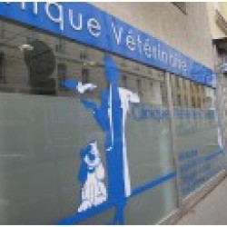 CLINIQUE VETERINAIRE GUILLOTIERE CLINIQUE VETERINAIRE GUILLOTIERE