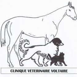 Clinique Vétérinaire Voltaire