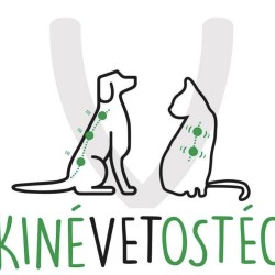 Kinevetosteo Dr Chambon Le Vaillant