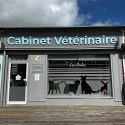 Cabinet Vétérinaire Des Aubes