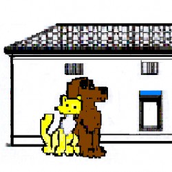 Clinique vétérinaire de lavalette