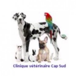 Clinique Vétérinaire Capsudvet