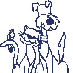 Clinique Vétérinaire De La Madeleine