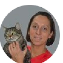 DV Vanessa Damoiseaux