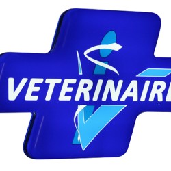 DV Loridant Matthéo