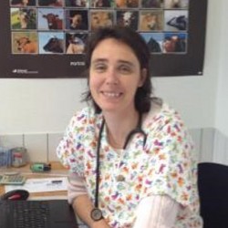 Dr Isabelle Vieux Violleau Cabinet Veterinaire De L Odet Combrit 29120 Book An Appointment Captainvet