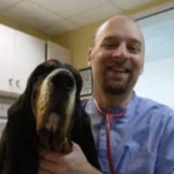 DV Stephane Larboulette