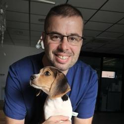 DV Cédric Boonaert
