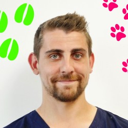 DV Matthieu Touplain