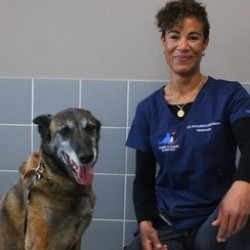 DV Marie Ahouissoussi